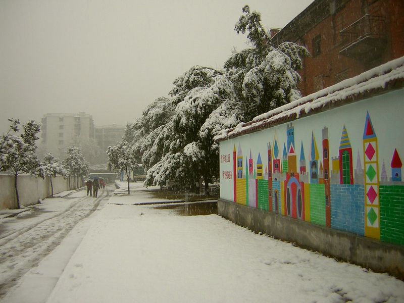 雪 摄影 蓝海珍珠