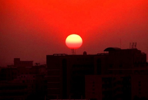 夕阳红 摄影 鸢尾草