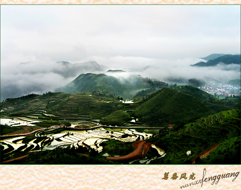 茗岙风光 摄影 元芳