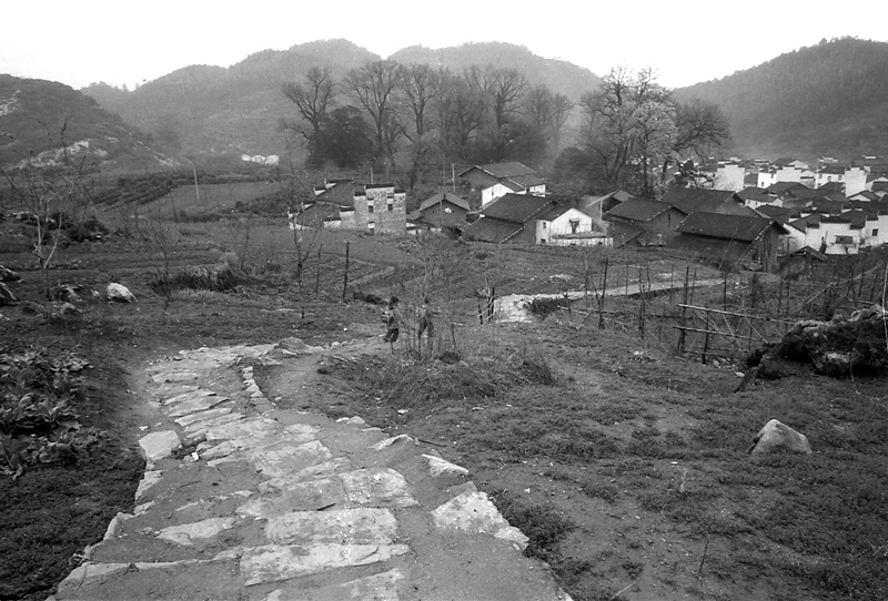 山村 摄影 大漠飞虎