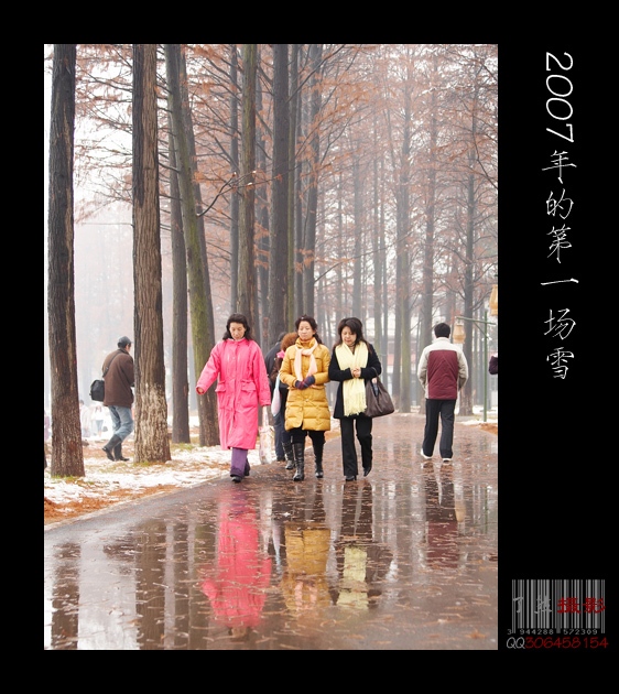 2007年的第一场雪之四 摄影 Rowater