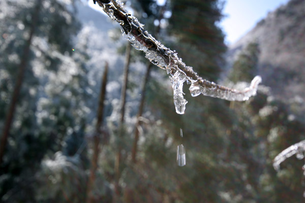 化雪 摄影 风向哪里