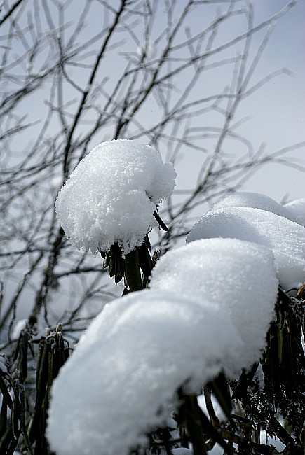 冬雪 摄影 沙漫海