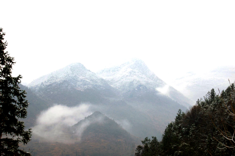 苗岭雪域 摄影 秋风红叶