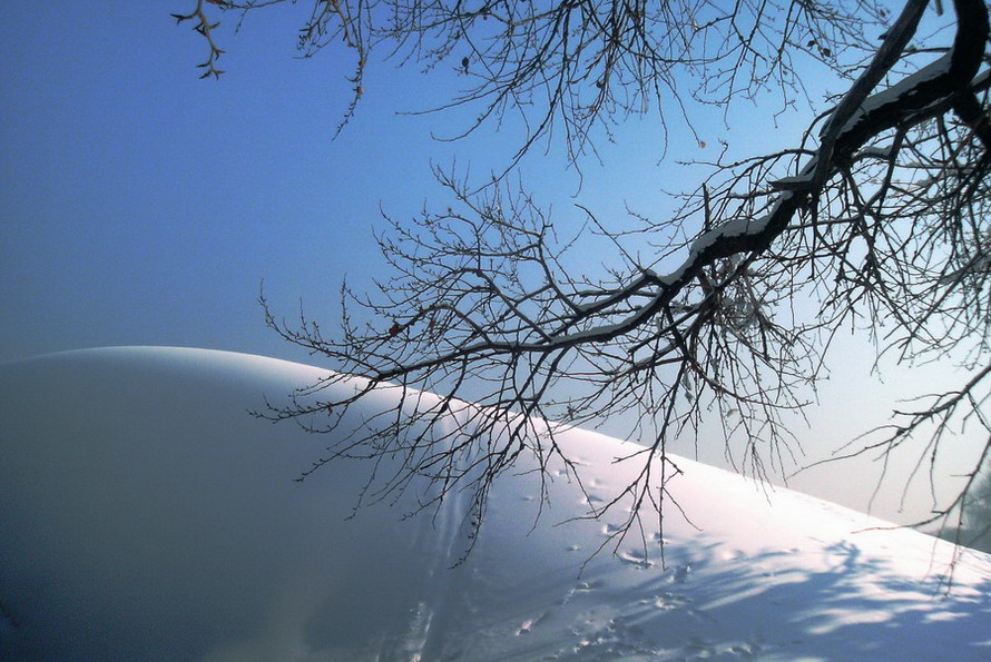 雪落无声 摄影 岁月的尘埃