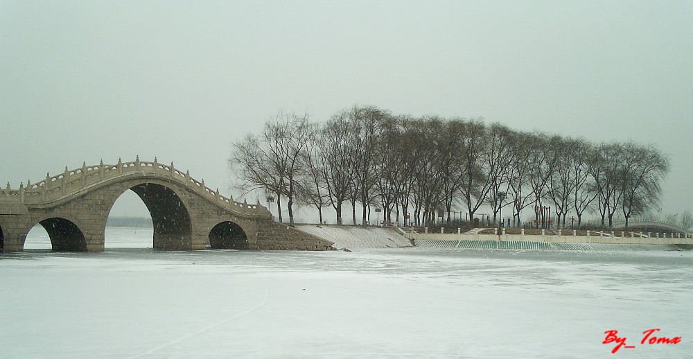 东湖飞雪 摄影 汤姆熊