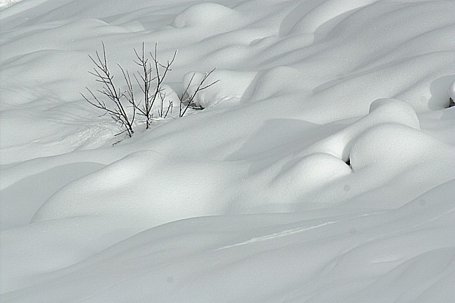 冬雪 摄影 沙漫海