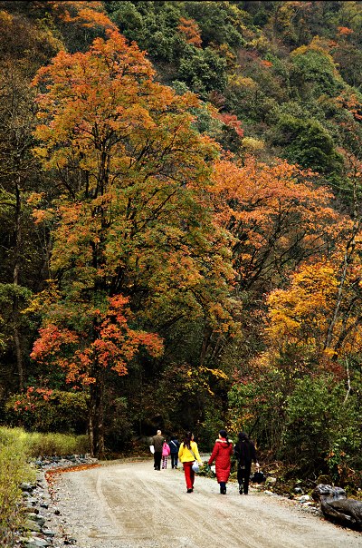 东拉山大峡谷--秋 摄影 常山刀