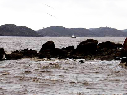 礁石\海鸥 摄影 浮生色痴