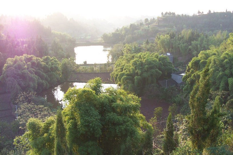 乡村夕照 摄影 随其自然