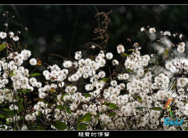 短暂的停留 摄影 蜀国像素