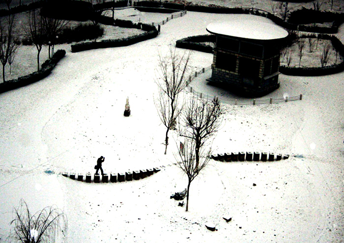 北京的雪 摄影 红牙