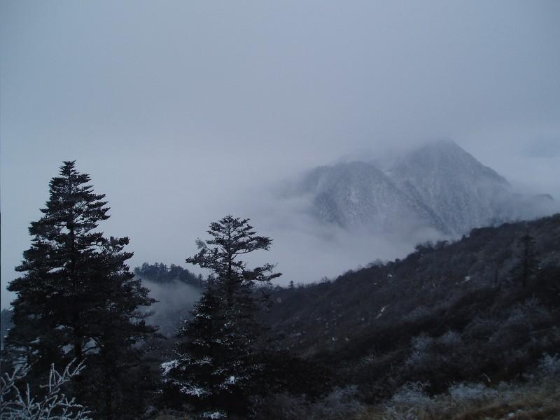 ：{窗含西嶺仟湫雪} 摄影 萍萍儿