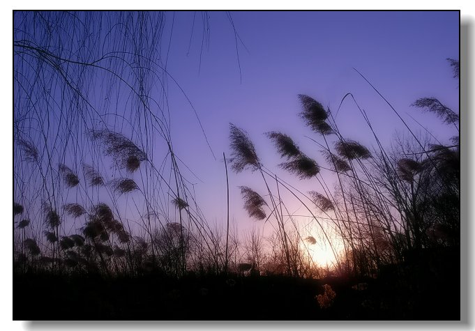 醉夕阳 摄影 北京大李