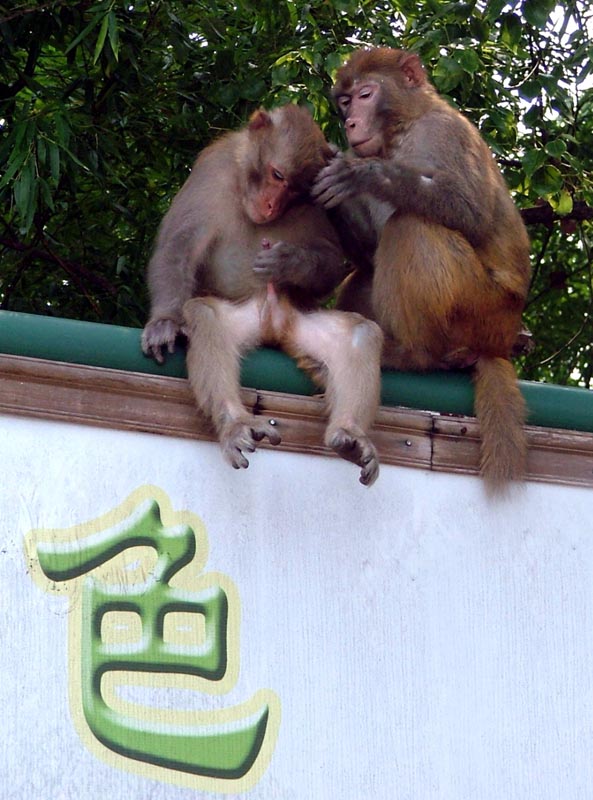 色 摄影 小林多