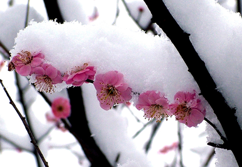 雪梅 摄影 新湛蓝天空