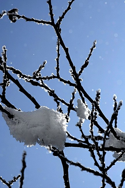 残雪 摄影 沙漫海