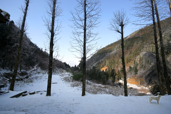 踏雪林场 摄影 风向哪里