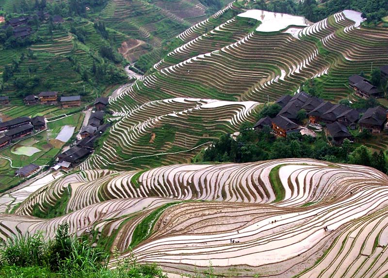 瑶寨田园 摄影 浩浩影