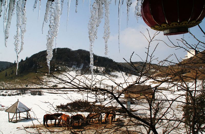 瑞雪兆丰年 摄影 摄途