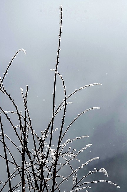 冬雪 摄影 沙漫海