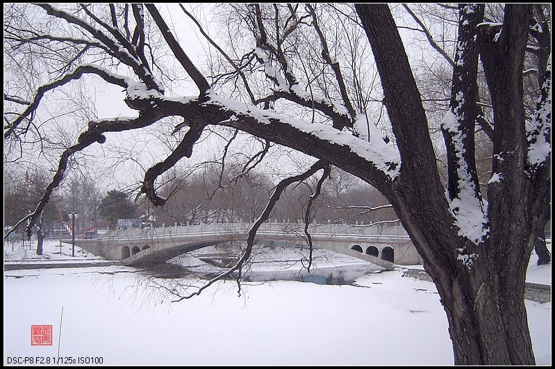 冰雪覆盖的南湖 摄影 走马观花