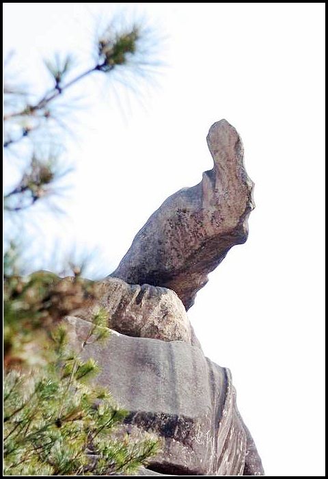 鹳鸟岩 摄影 灰灰