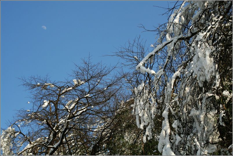 蓝天．白雪．月亮 摄影 摄途