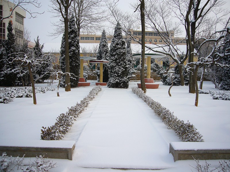 雪后的宁静 摄影 情也如歌