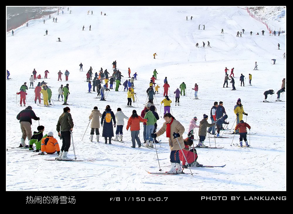 热闹的滑雪场 摄影 lankuang