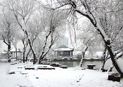 雪景 摄影 新湛蓝天空