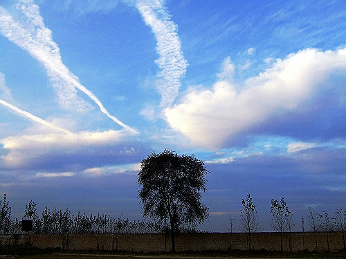 飞机过后的天空-1 摄影 蕉鹿