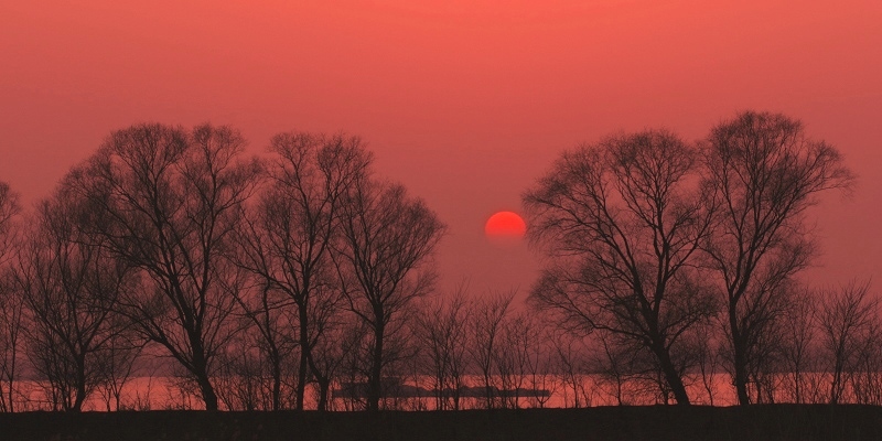 醉夕阳 摄影 拍得乐