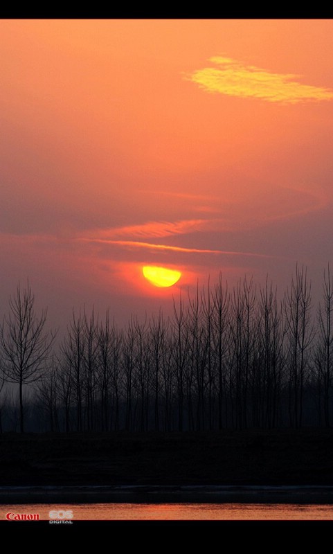 夕阳晚唱 摄影 寒柳