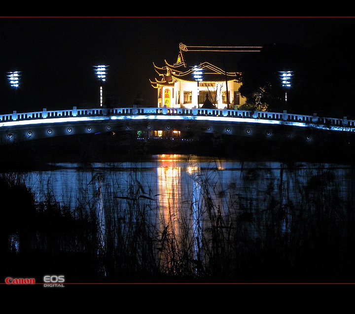 渔父桥芦影——无锡景(18) 摄影 阿乐