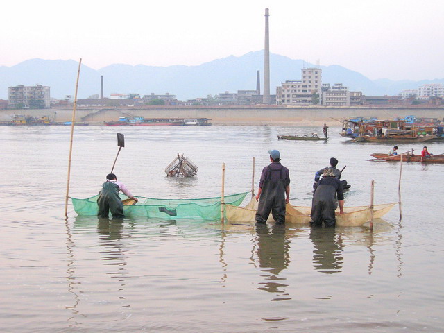 浣溪沙 摄影 三鹅