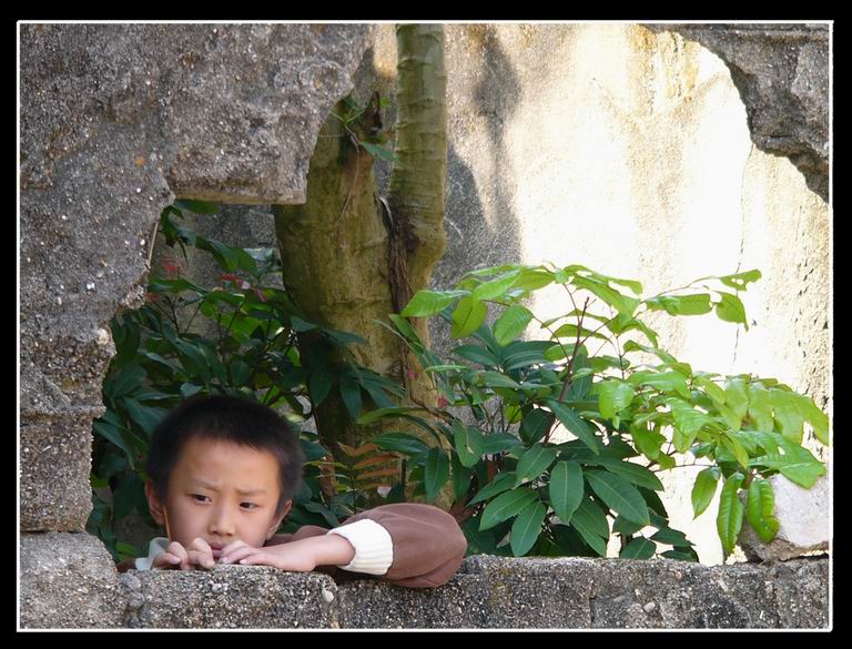 等待 摄影 深秋时节