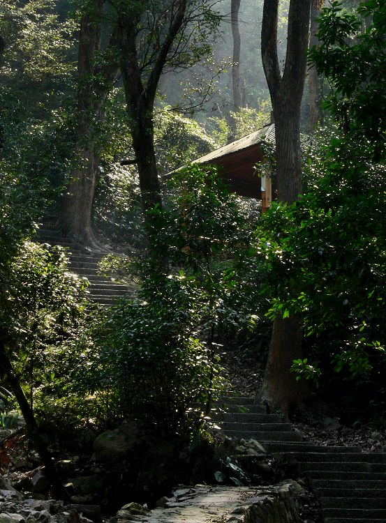 山路 摄影 静野