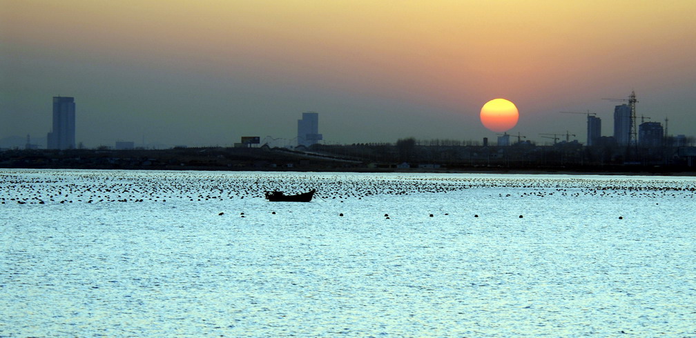 夕照海滨 摄影 枭玫