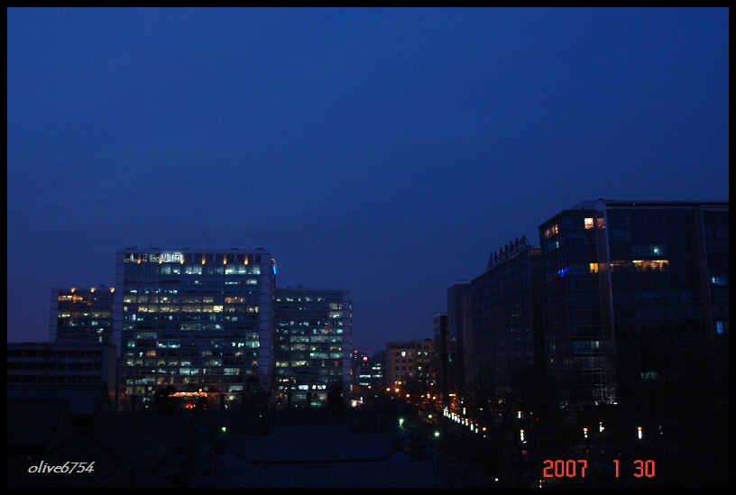 都市夜景 摄影 橄榄树枝