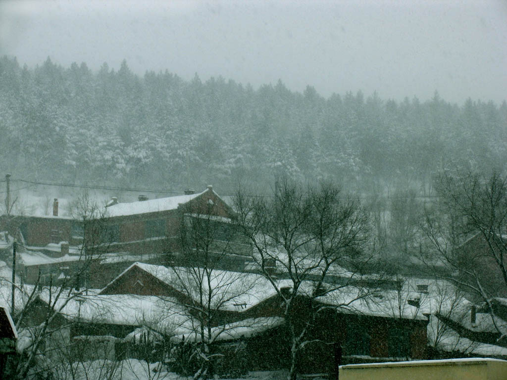 家乡的雪 摄影 Q当铛Q