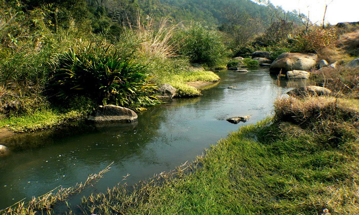 乡村即景·小溪 摄影 含川