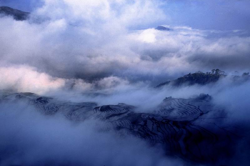 雾中爱多 摄影 高高山顶立