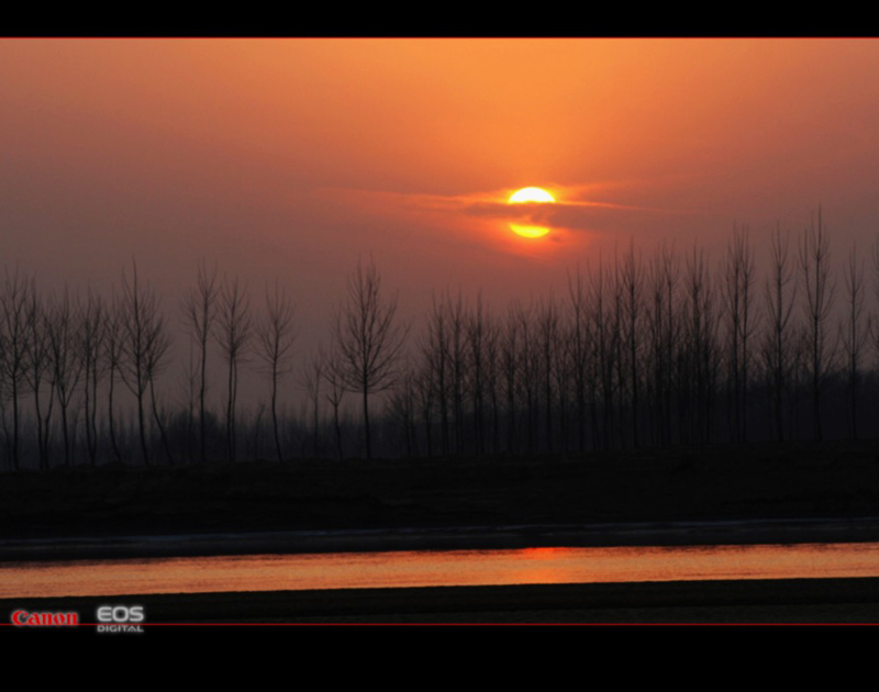 夕阳 摄影 寒柳