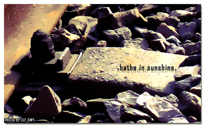 bathe in sunshine 摄影 -ELF-