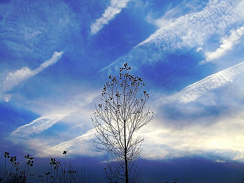 飞机过后的天空－3 摄影 蕉鹿