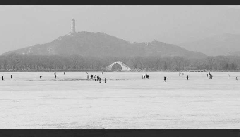 冬韵 摄影 天山雪莲x