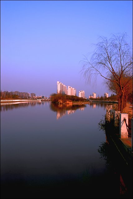 冬 摄影 窗外的天气