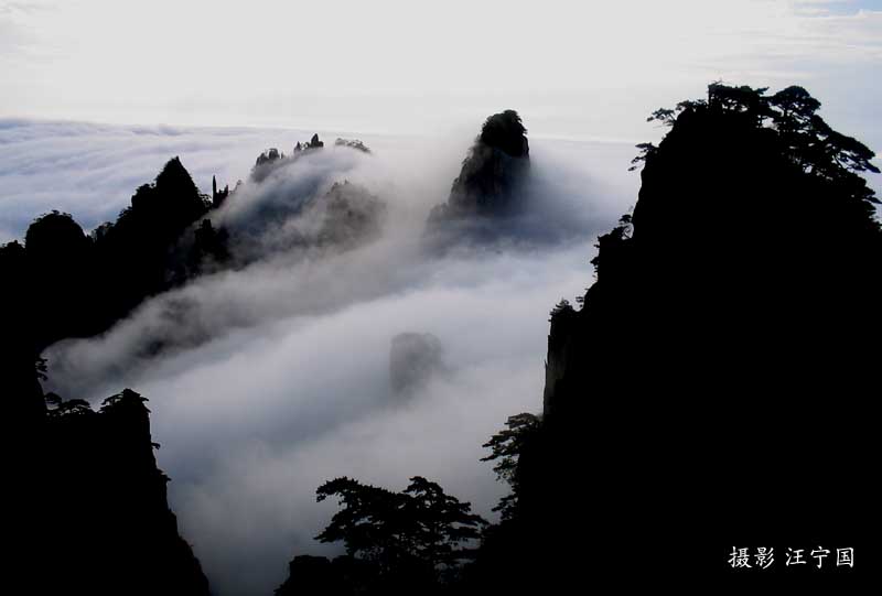 黄山云海1 摄影 北海