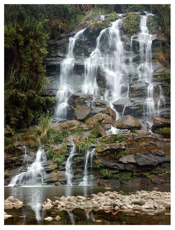 高山流水 摄影 过山龙